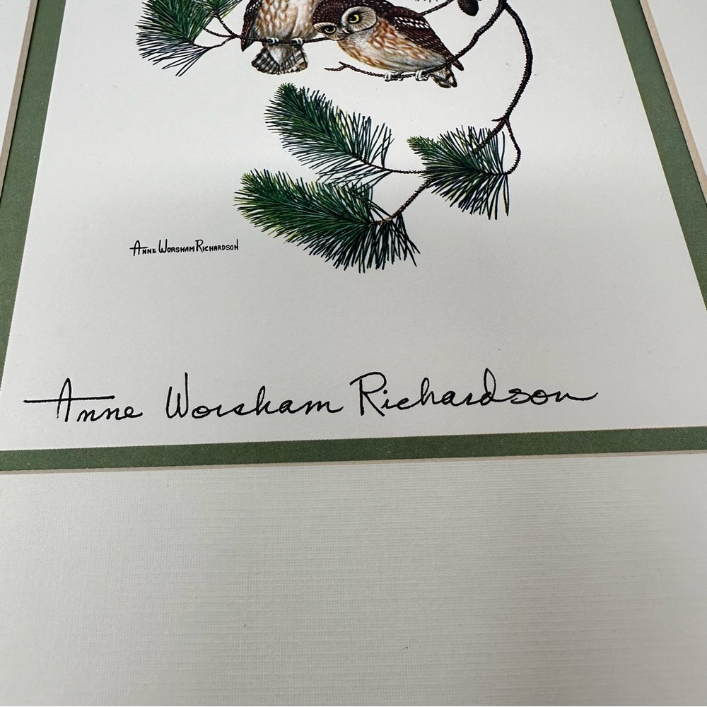 Anne Worsham Richardson Screech Owl and Saw Whet Owl
Signed Prints - Picture 9 of 16